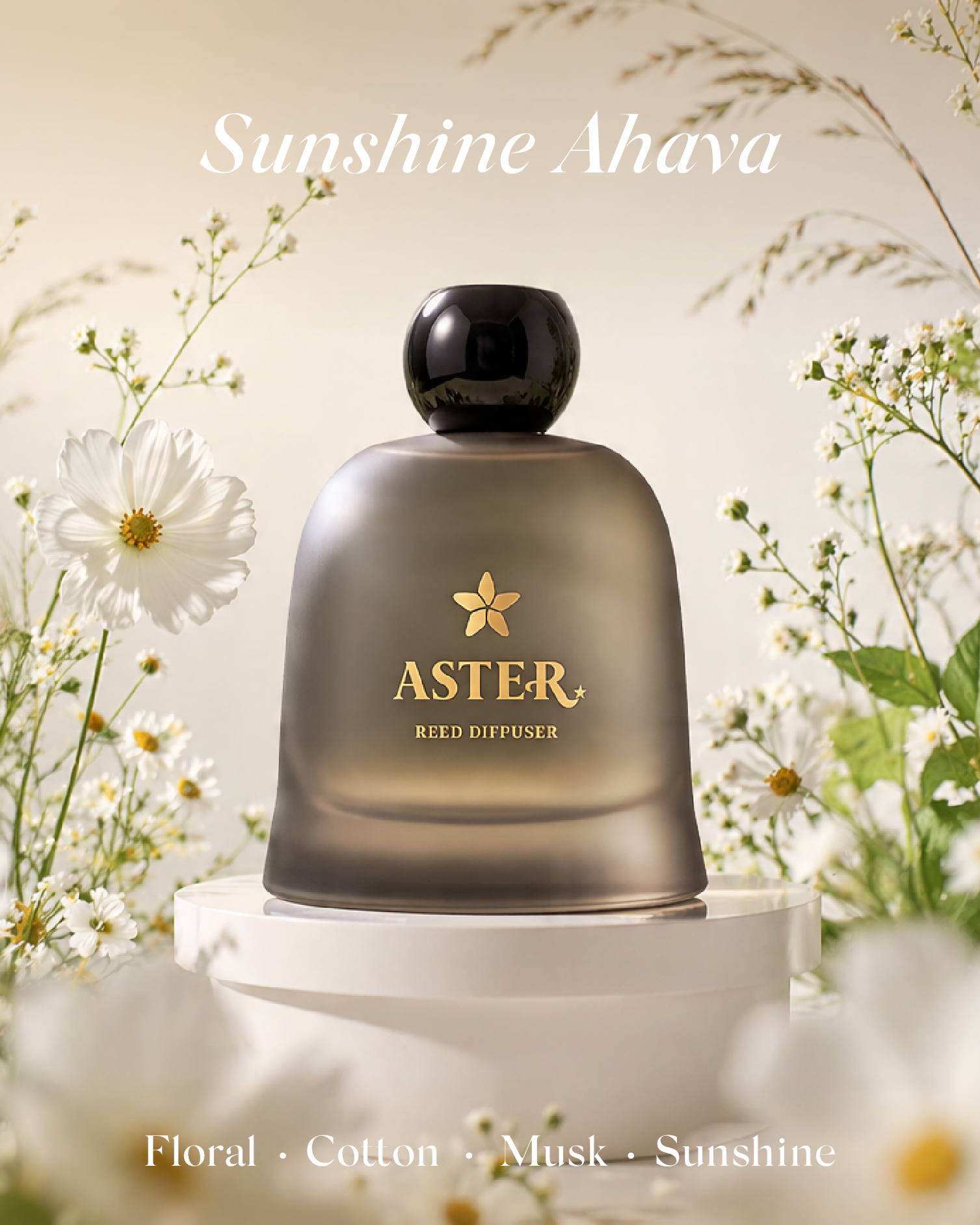 ASTER Instagram